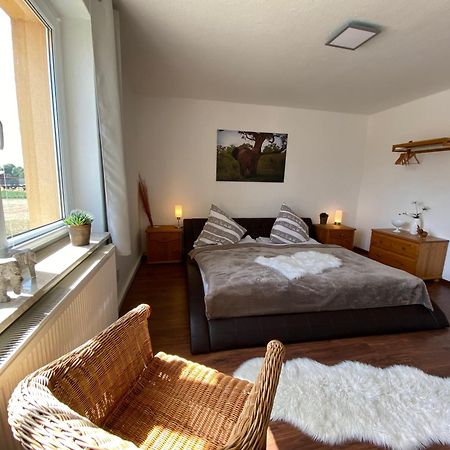 Gelbes Haus Seenland Ferienwohnungen Xl Elsterheide Екстериор снимка