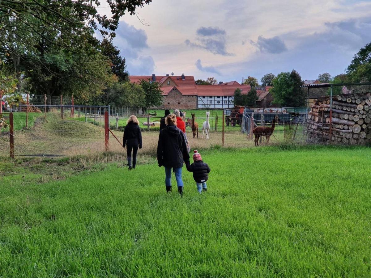 Gelbes Haus Seenland Ferienwohnungen Xl Elsterheide Екстериор снимка